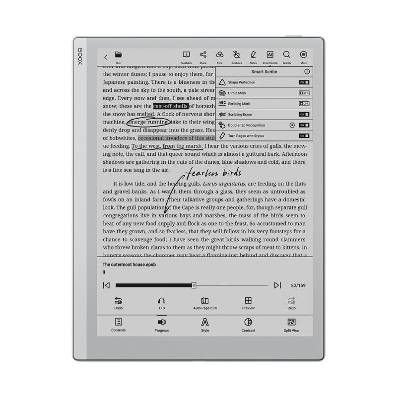 BOOX Go 10.3 Tablet – Large ePaper Note-Taking & Reading Device