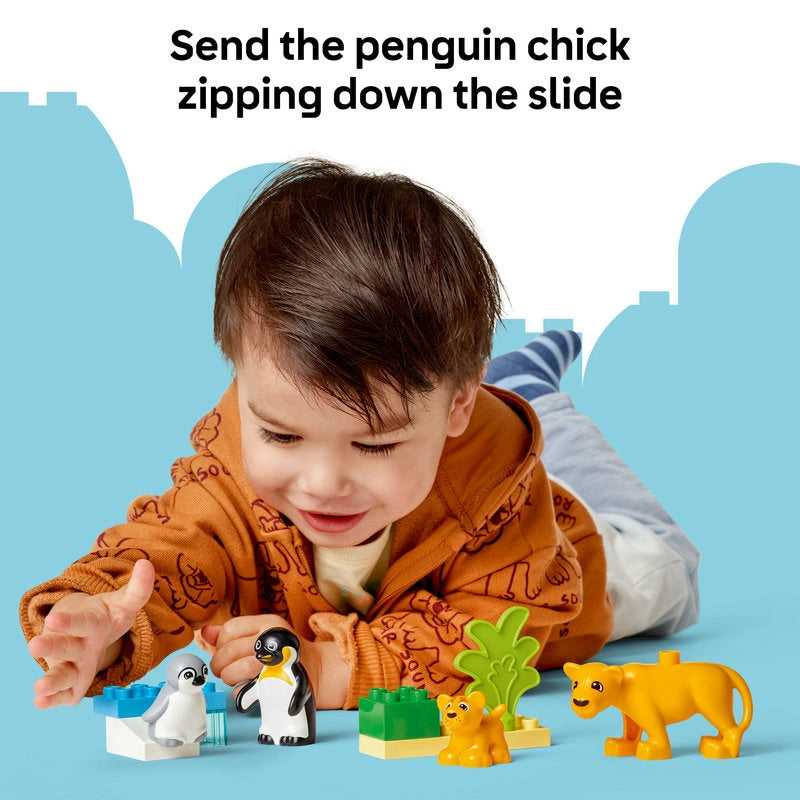 LEGO DUPLO Wild Animal Families: Penguins & Lions – 10 Pieces | Set 10442