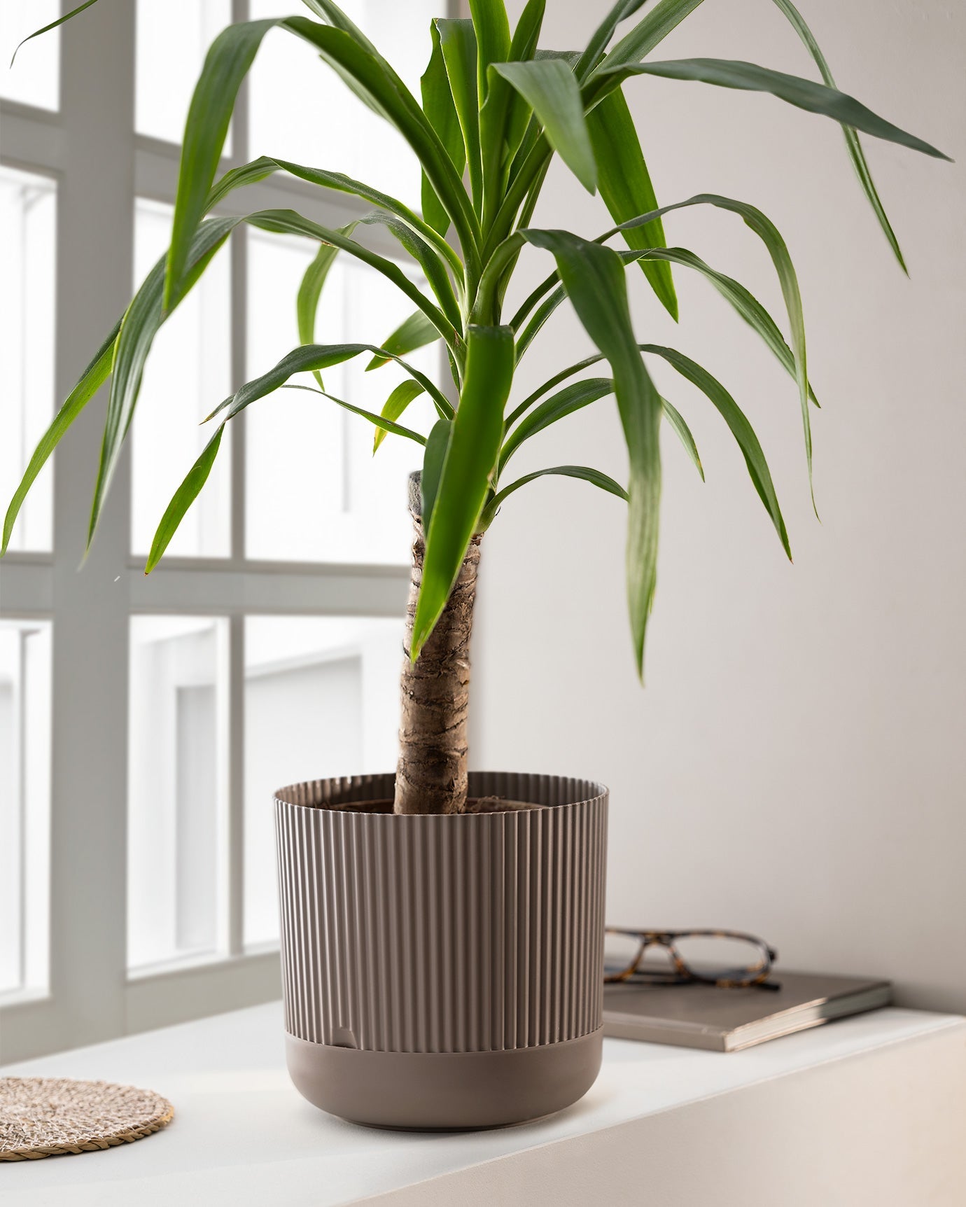 Sanvi Flower Pot 4000 Ml - Madame Coco JO