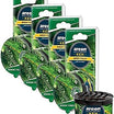 AREON Ken Car Air Freshener - Nordic Forest Scent, Long-Lasting Fragrance