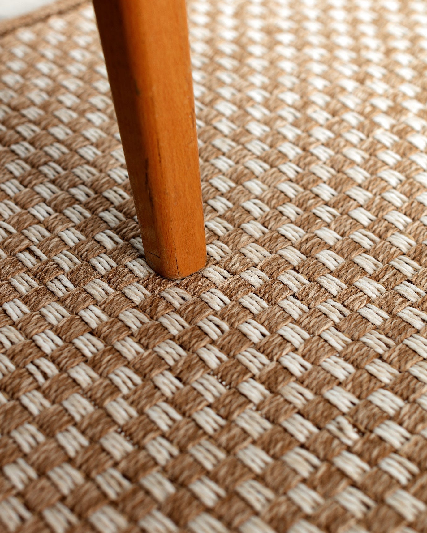 Candide Carpet - Madame Coco JO