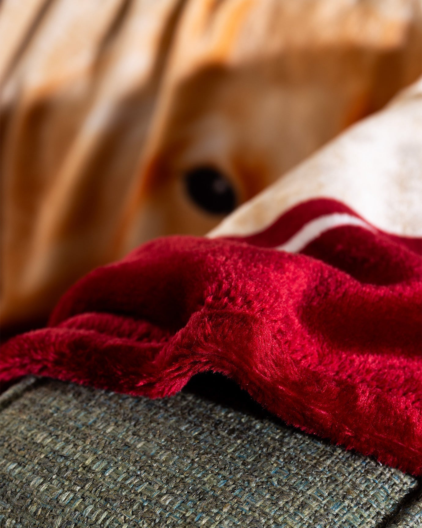 Chiot Printed Wellsoft Blanket - Madame Coco JO
