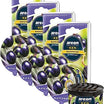 AREON Ken Car Air Freshener - Blackcurrant Scent, Long-Lasting Fragrance