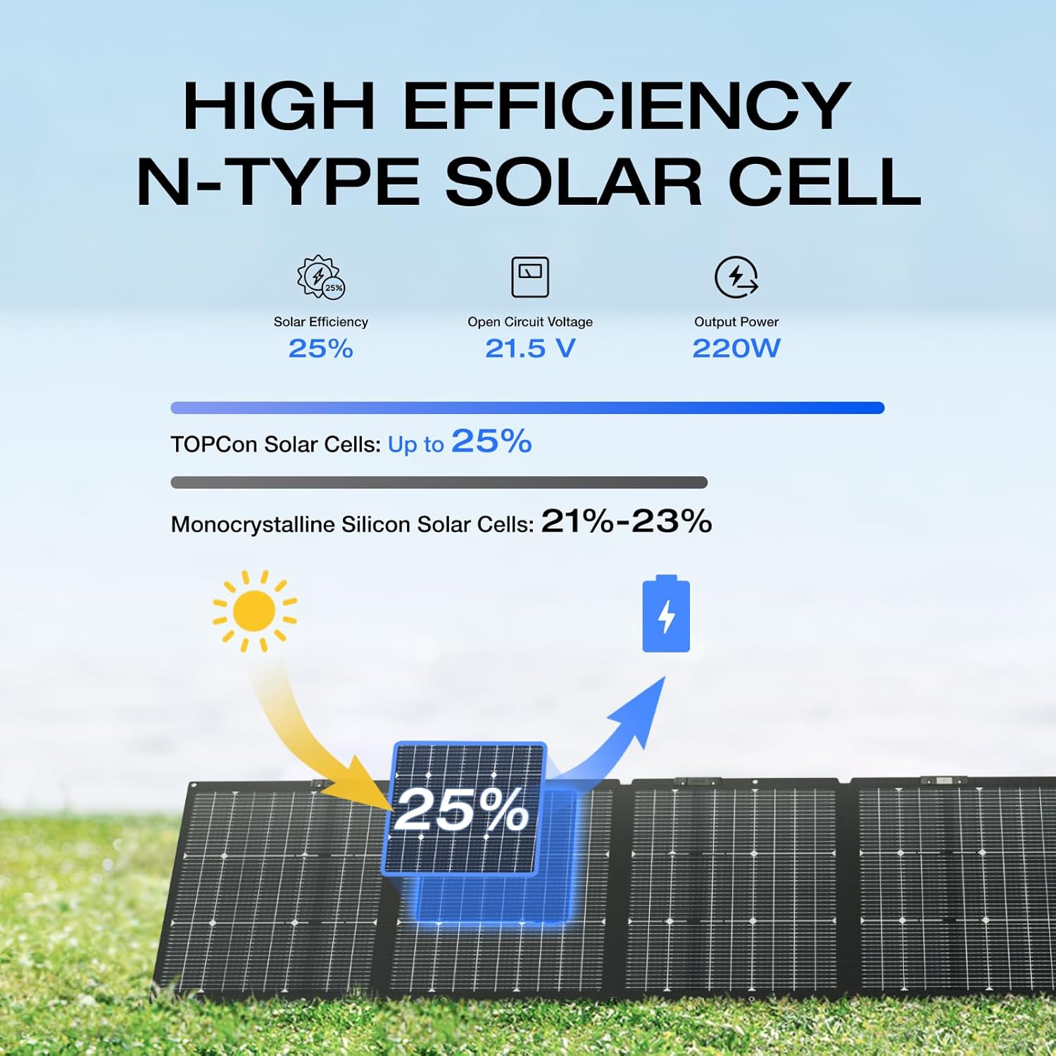 EcoFlow 220W Solar Panel