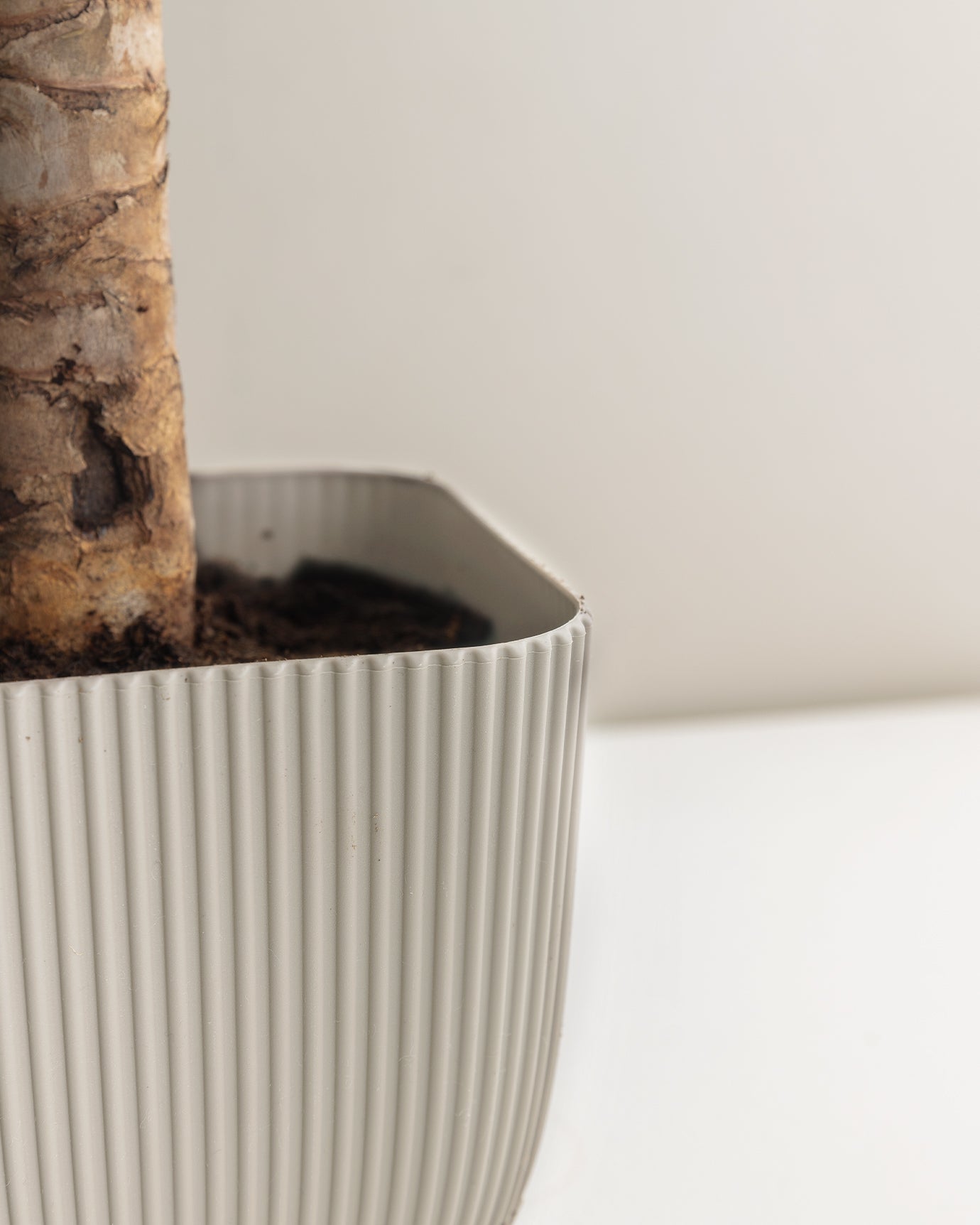 Abella Flower Pot 1800 Ml - Madame Coco JO