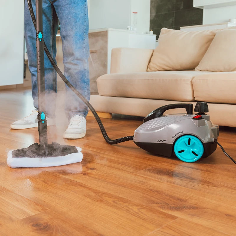 Cecotec 2000W Multi-Purpose Steam Cleaner — Chemical-Free Sanitization for Every Surface