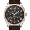 DANIEL KLEIN DK.1.13676-5 MEN WATCH