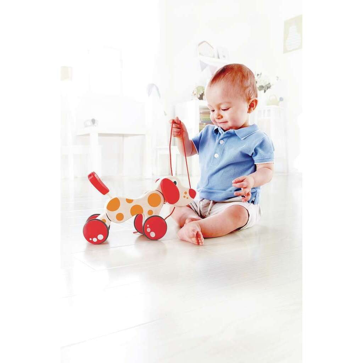 Hape Walk & Pull a Long Wooden Toy