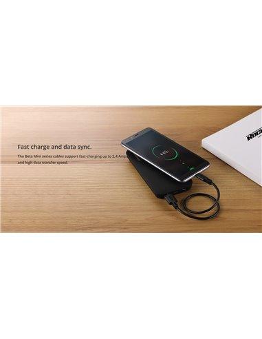 RockRose Beta AC Mini 2.4A 30CM Type C Cable