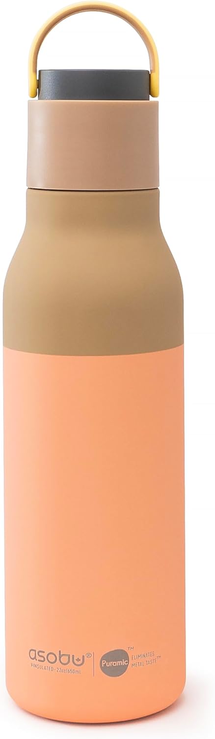 ASOBU Metro Insulated Water Bottle with Pop-Up Straw and Handle – Edition 2