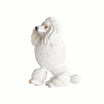 Magnet - Dog - Madame Coco JO