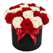 Red & White Box