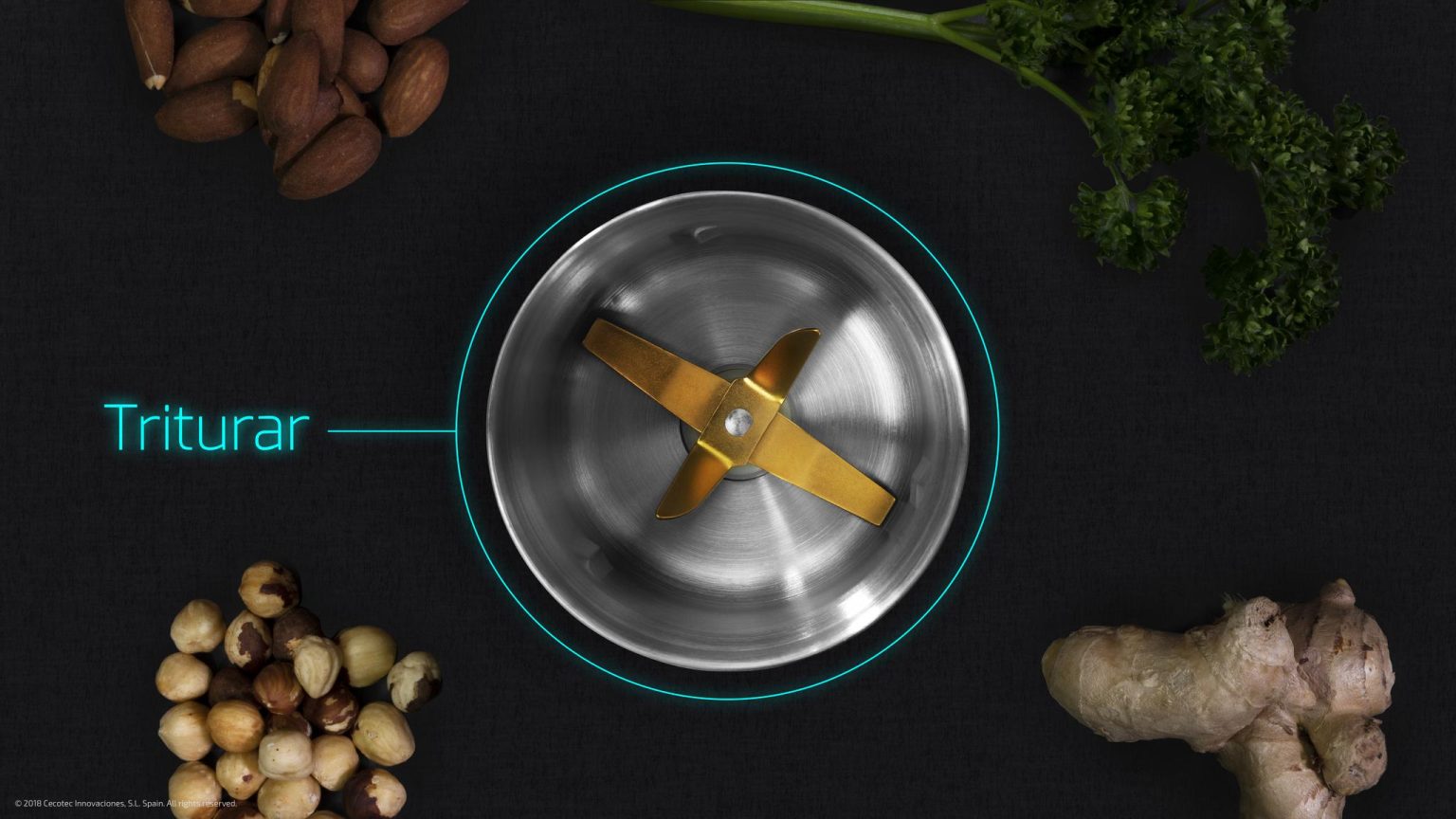 مطحنة Cecotec TitanMill 300 DuoClean قهوة وتوابل