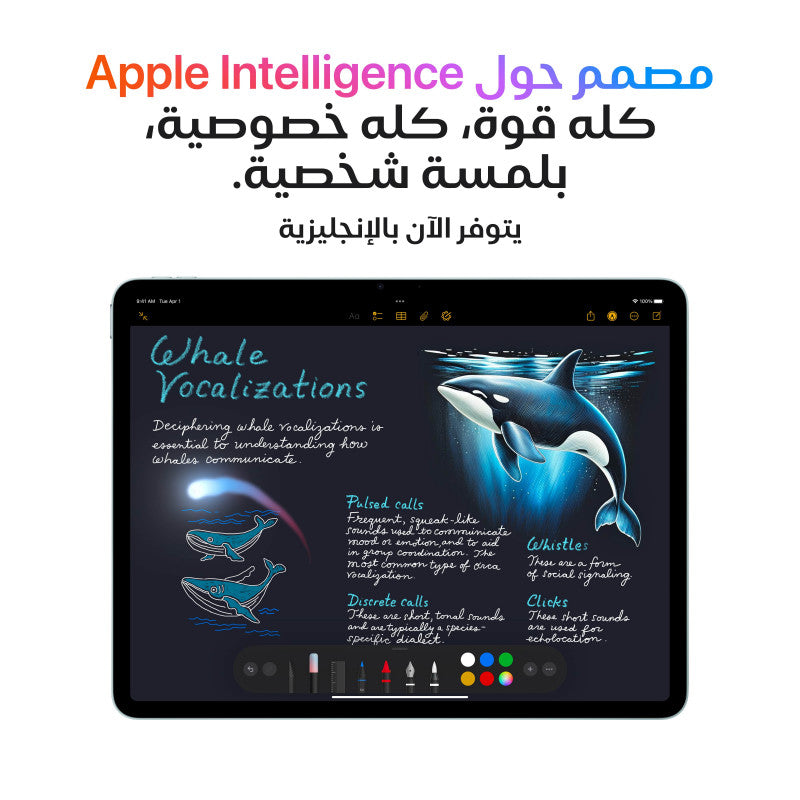آيباد آير 11 إنش M3 سعة 512GB – واي فاي