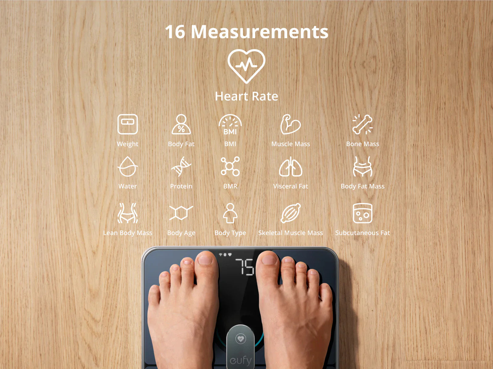 Best Digital Scales in Jordan 2026 – Anker Eufy A1 Smart Scale vs Kitchen Scales Complete Guide