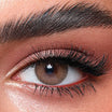 Bella Lenses Wild Honey