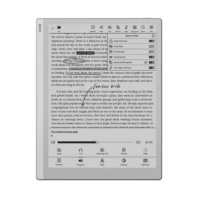 BOOX Go 10.3 Tablet – Large ePaper Note-Taking & Reading Device