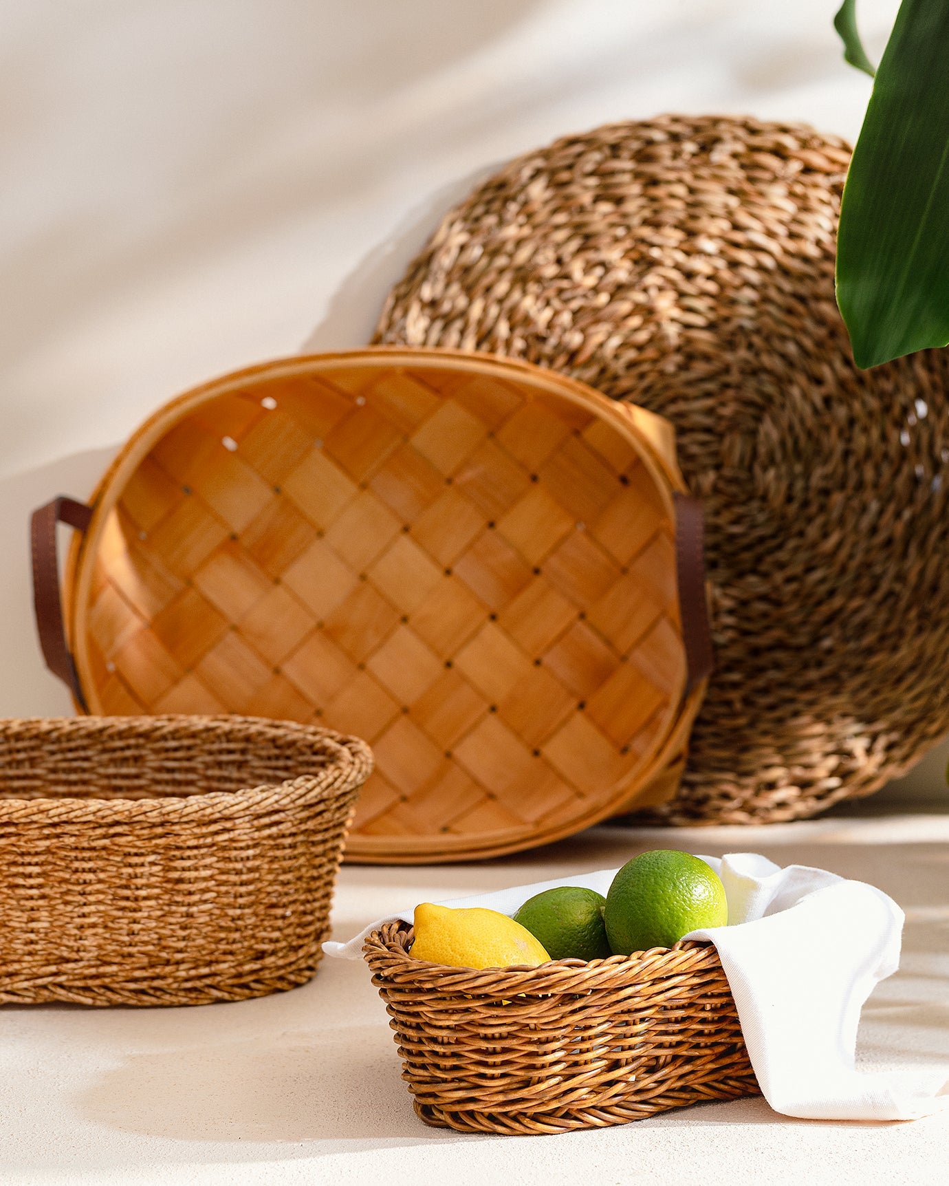 Favor Medium Basket - Madame Coco JO