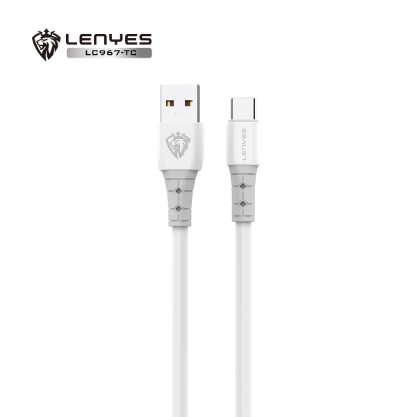 LENYES Charging Cable