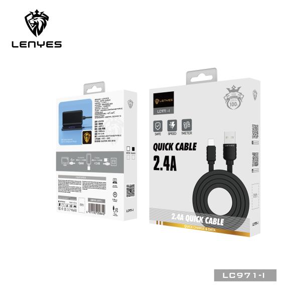 LENYES Cable PD 60W 1m