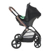 Chicco MESA Car Seat Adapters – Black, Safe & Easy