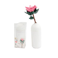 Sluban Pleyerid Flowers Protea Building Blocks Set – 219pcs