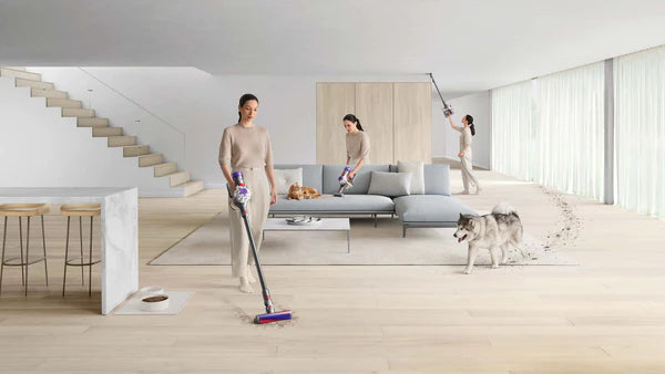 Dyson V8 Absolute / vacuum cleaner - COPPER