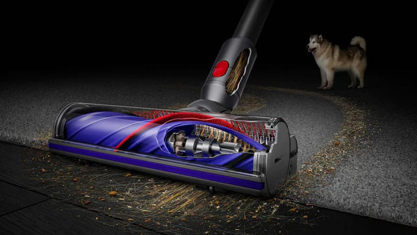 Dyson V8 Absolute / vacuum cleaner - COPPER