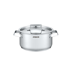 Arshia 20cm Stainless Steel Cooking Pot with Metal Lid