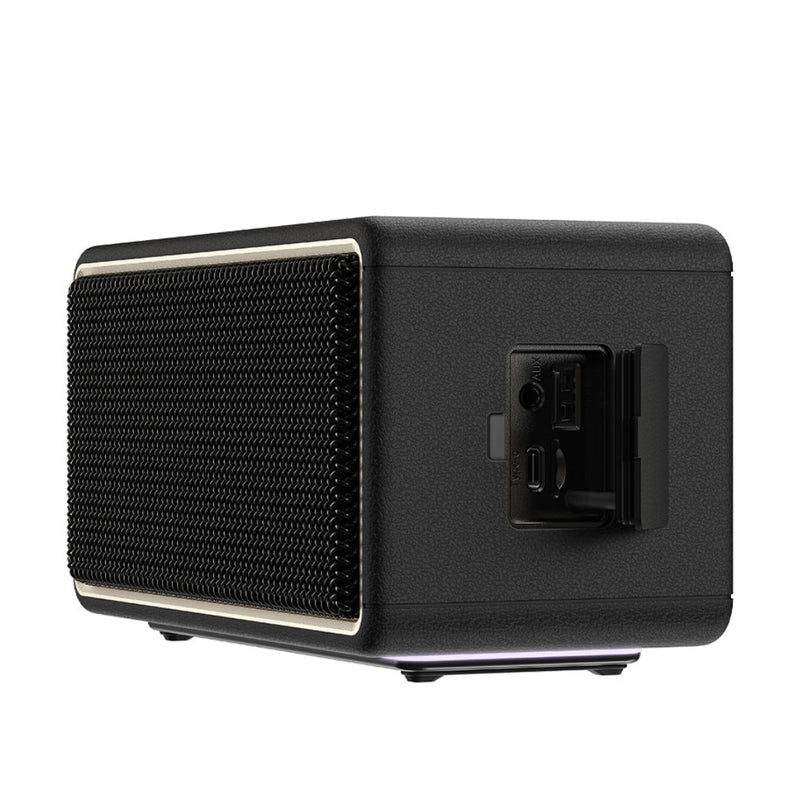 ACEFAST Retro Portable Bluetooth Speaker | Premium Leather Handle | Gold Accents | Vintage Design