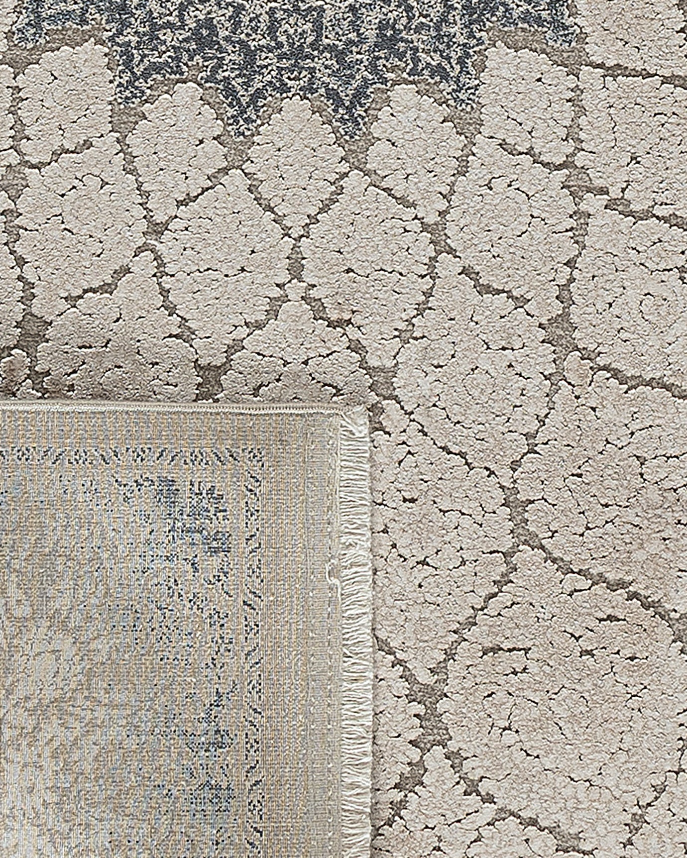 Renier Carpet - Madame Coco JO