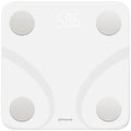 Proove Balance Smart Scale Precision & Innovation