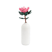Sluban Pleyerid Flowers Protea Building Blocks Set – 219pcs