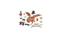 Playmobil Dragon Racing Fishlegs & Meatlug Adventure