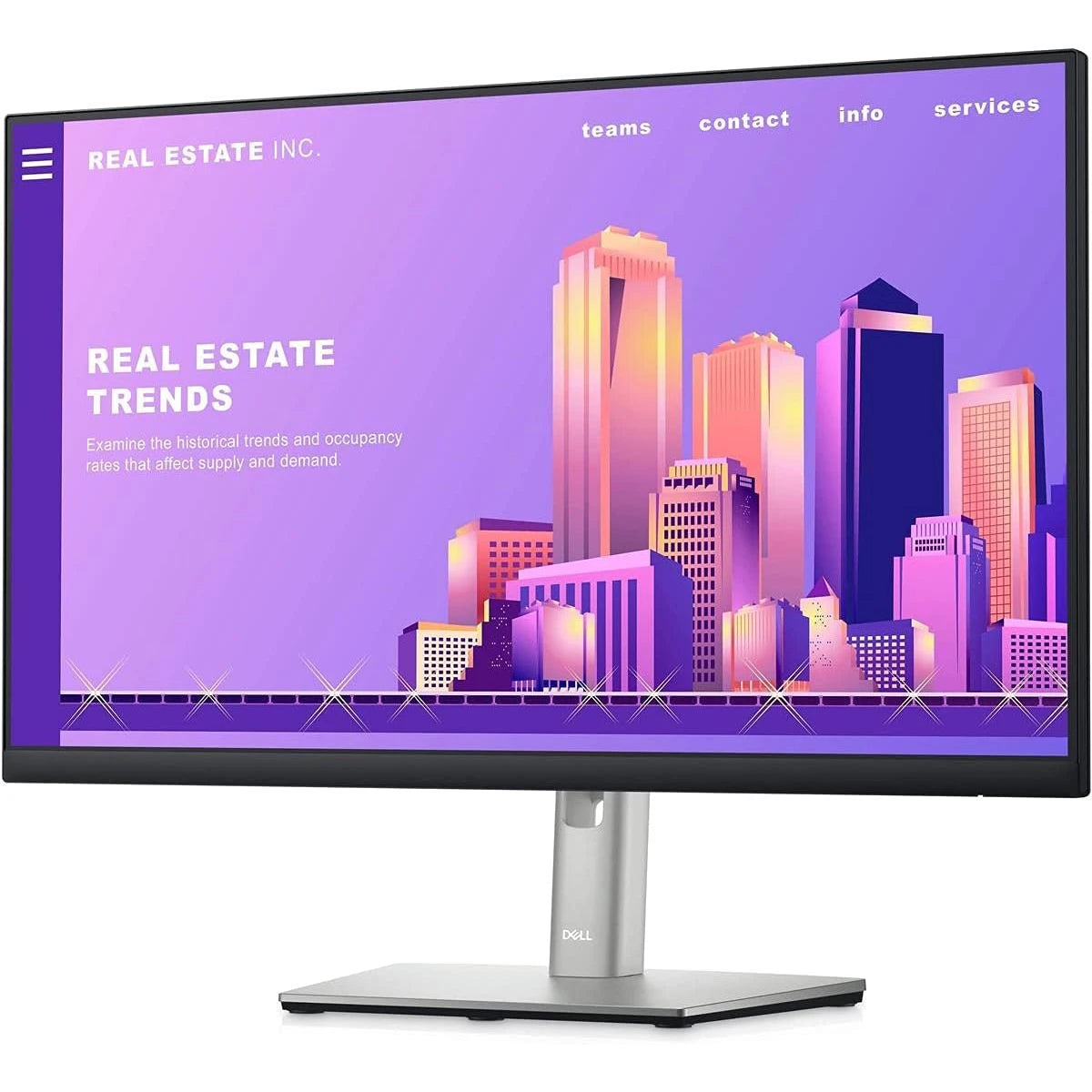 Dell P2422H 24 FHD IPS Computer Monitor