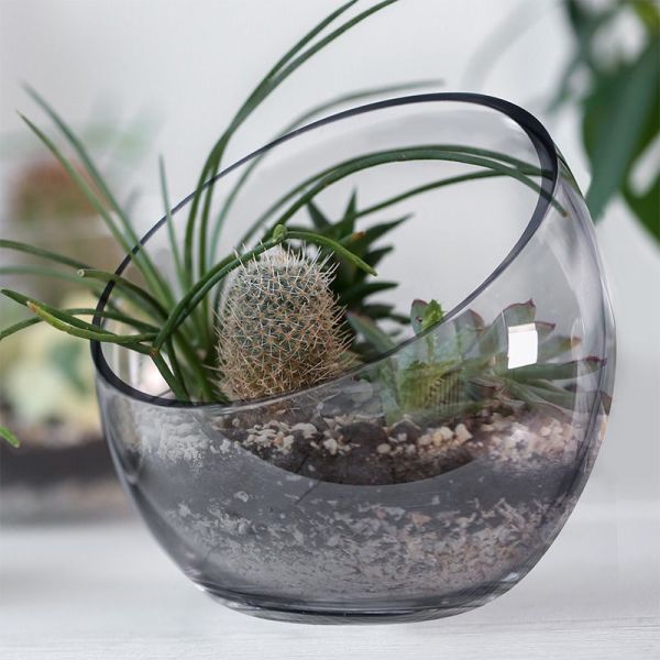 ARMN Anchor Glass Vase/Nut Bowl 14×10 cm – Elegant