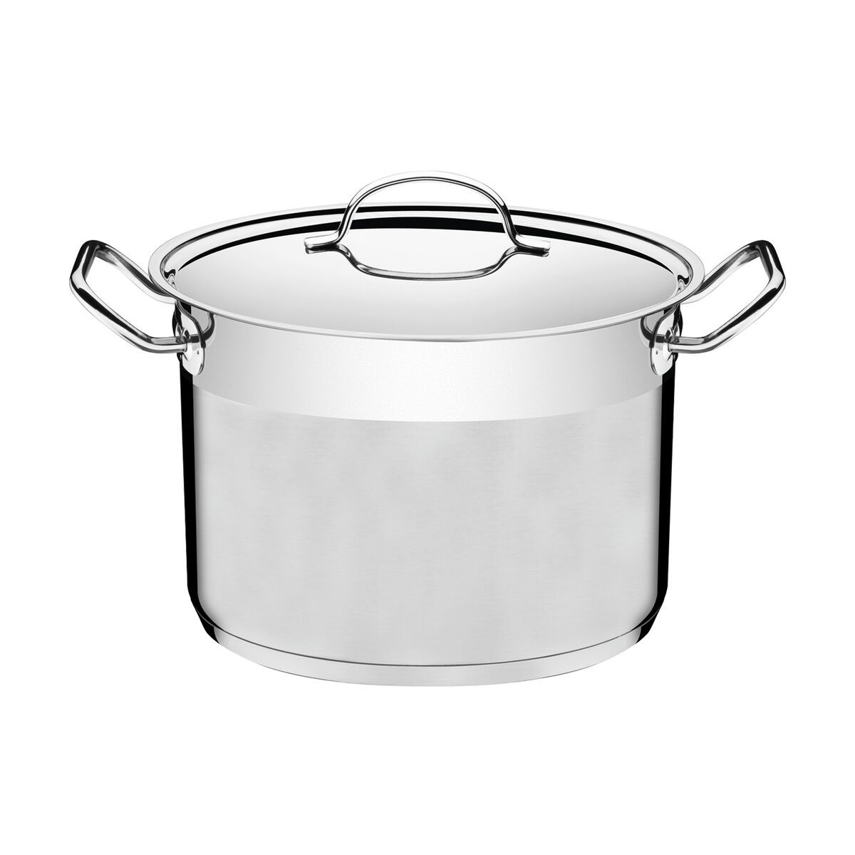 Tramontina Professional Stainless Steel Pot with Lid
