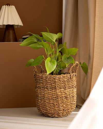 Olivia Wicker Basket 25cm - Madame Coco JO