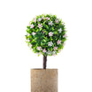 Diahna Potted Flower - Madame Coco JO