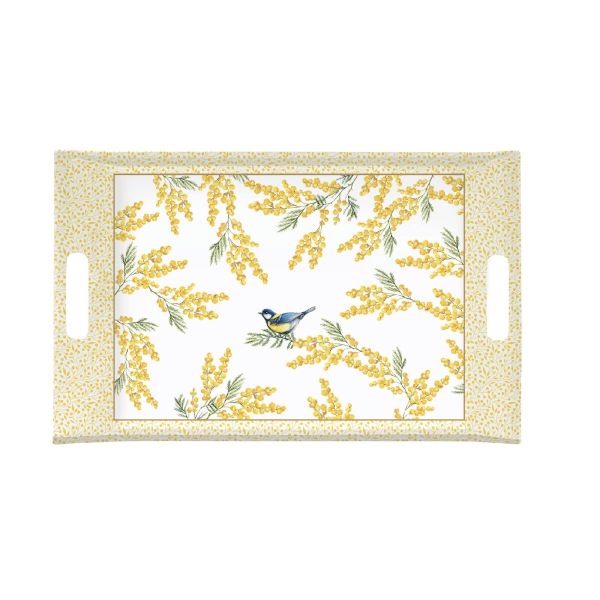 صينية 47×31 سم من Easy Life Mimosa - ألوان متعددة