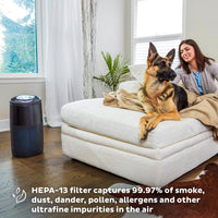 Instant Air Purifier with Plasma Ion Technology for Rooms up to 1,940ft2 - Black