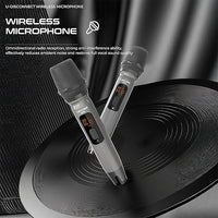 Lenyes S873 400W Party Bluetooth Speaker – Dual Wireless Mics