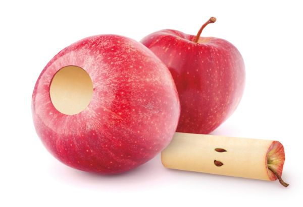Ibili 19.5 cm Stainless Apple Corer — Practical & Durable