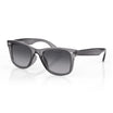 DANIEL KLEIN MEN SUNGLASSES  DK4320-4