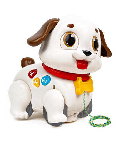 Hola Crawl & Pull Along Learning Puppy - Interactive Musical Toy
