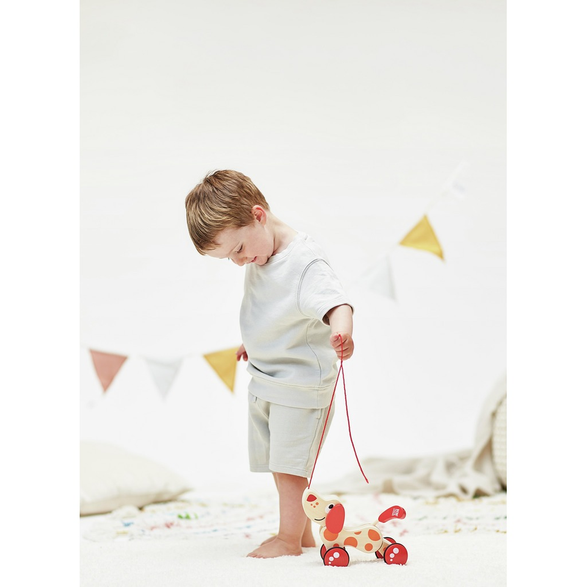 Hape Walk & Pull a Long Wooden Toy