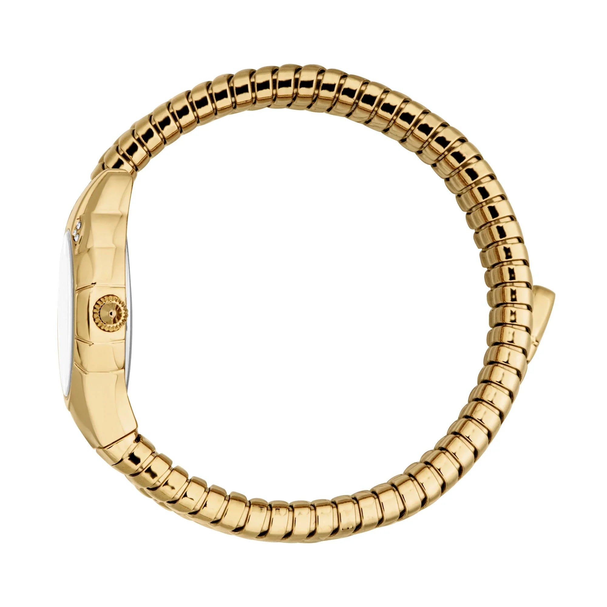 JUST CAVALLI JC1L351M0025  GOLDEN STEEL BAND SILVER DIAL FOR WOMEN
