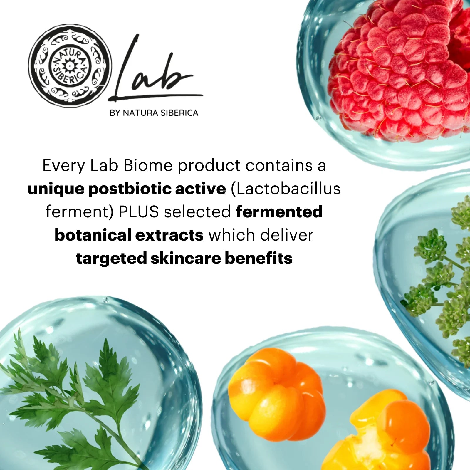Lab Biome Hydrating Foam Cleanser – 200ml | Gentle & Moisturizing
