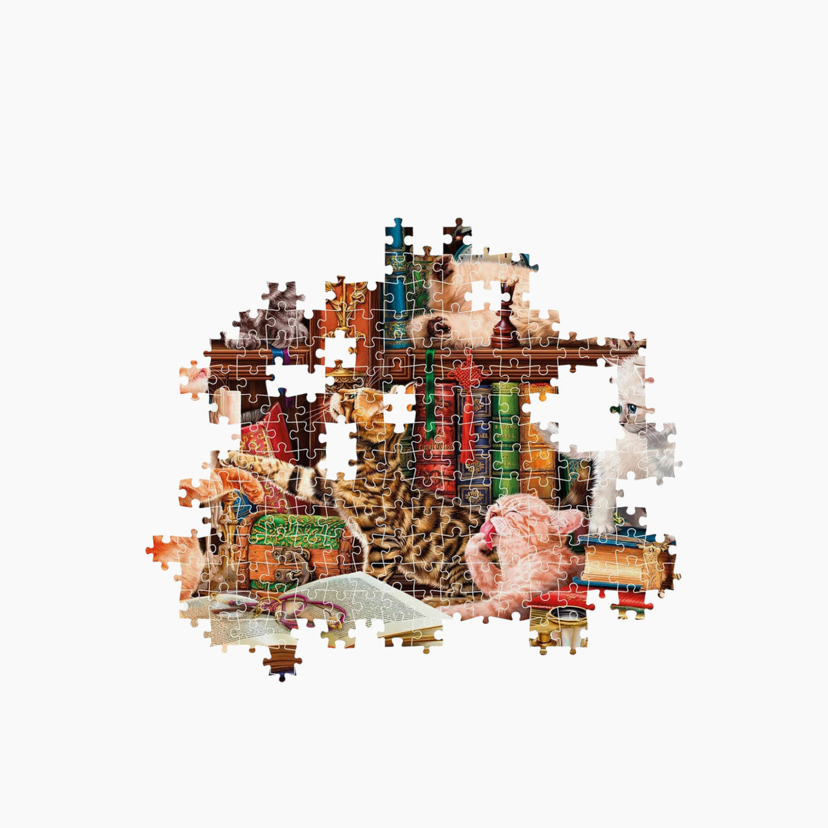 Clementoni Curious Whiskers 2026 Compa Jigsaw Puzzle – 1000 Pieces