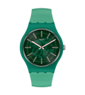 Swatch Sunbrush Grass So29G100